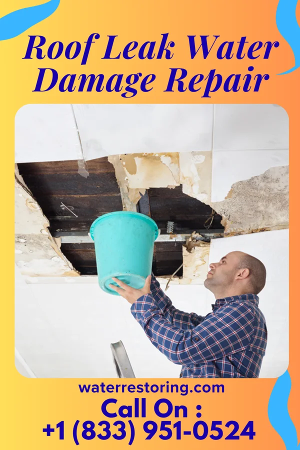 Roof Leak Water Damage Repair in Belleview, FL